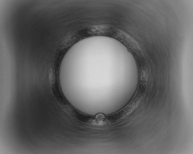 X0000102270751200808081440