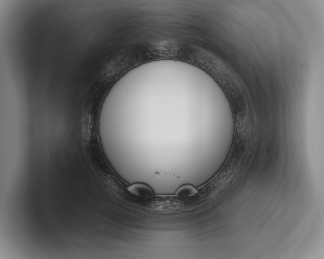 X0000102270752200808081440