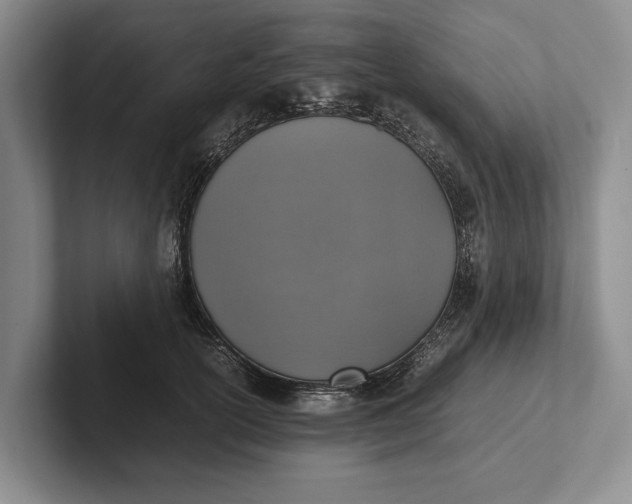 X0000102270754200808081440