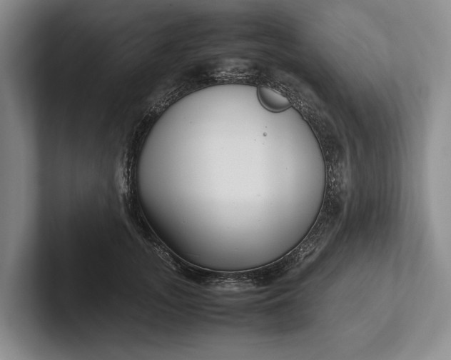 X0000102270755200808081440