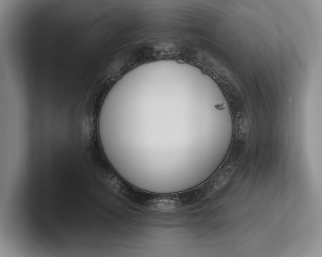 X0000102270756200808081440