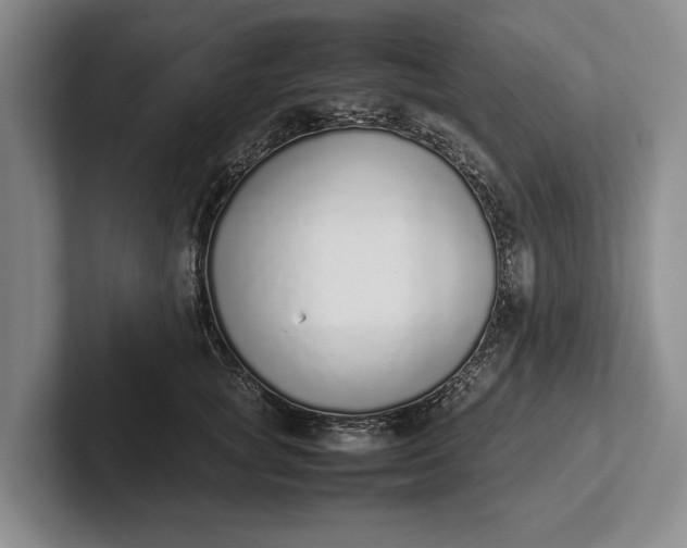 X0000102270757200808081440