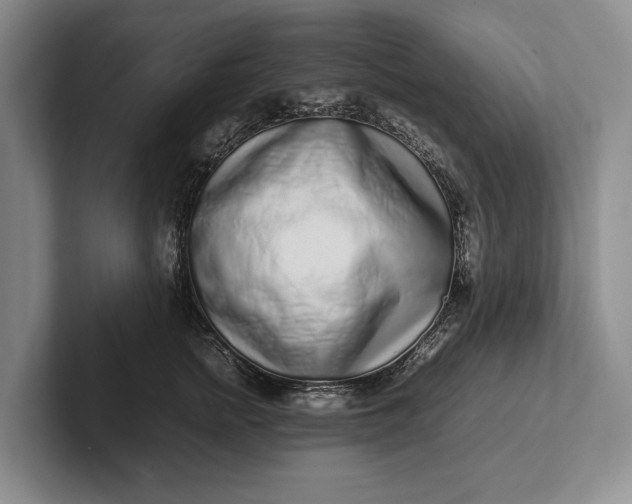 X0000102270758200808081440