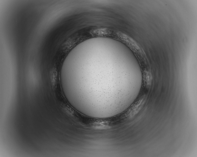 X0000102270760200808081440