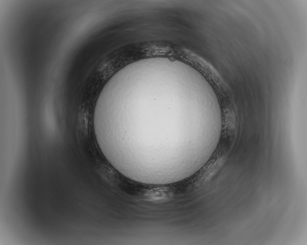 X0000102270761200808081440