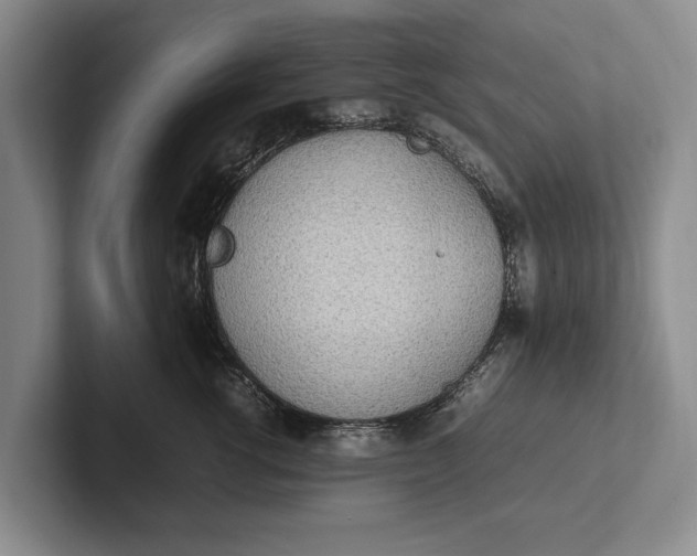 X0000102270762200808081440