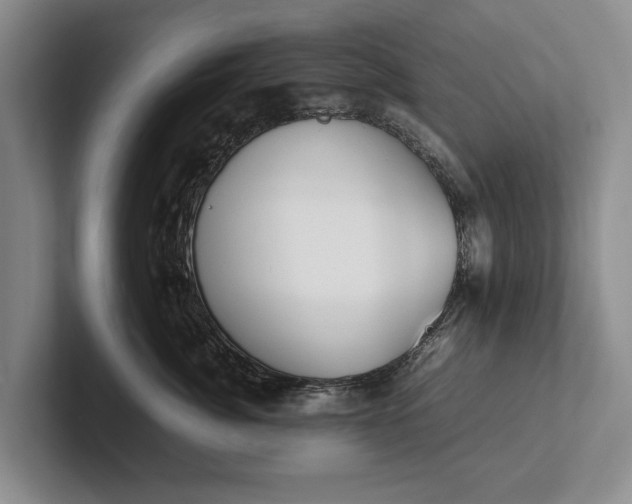 X0000102270764200808081440