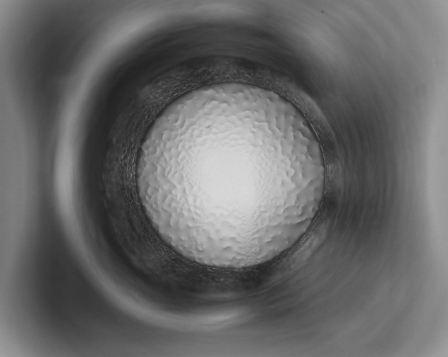 X0000102270765200808081440