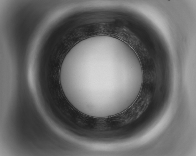 X0000102270766200808081440