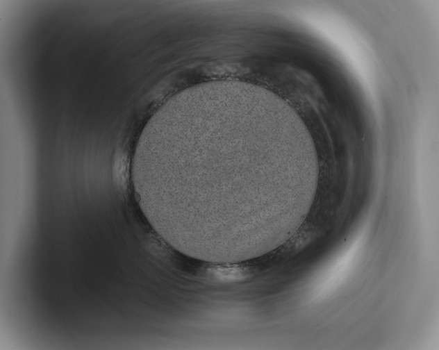 X0000102270767200808081440