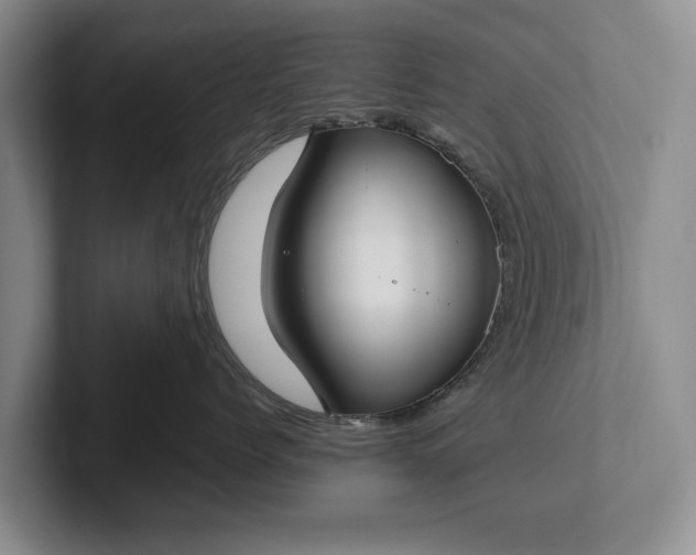 X0000102270768200808081440