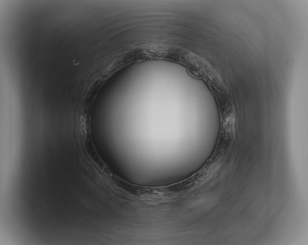 X0000102270772200808081440