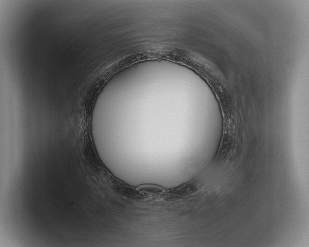 X0000102270773200808081440