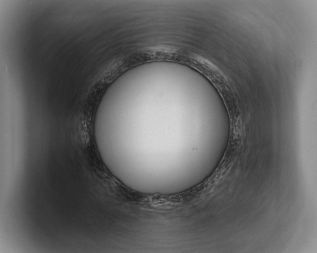 X0000102270774200808081440