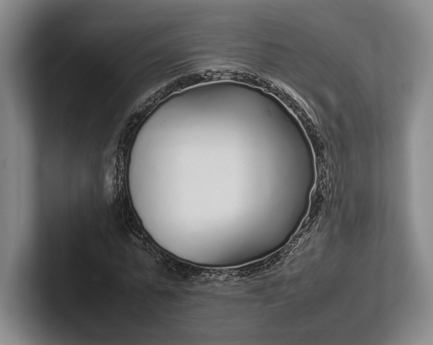 X0000102270775200808081440