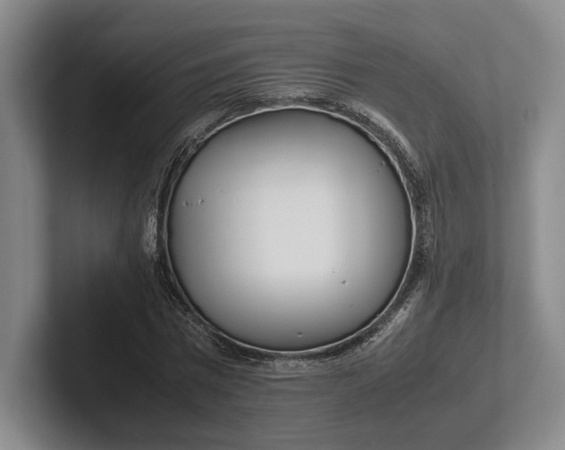 X0000102270777200808081440