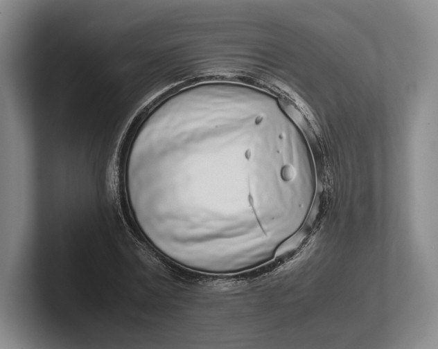 X0000102270779200808081440