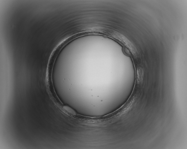 X0000102270780200808081440