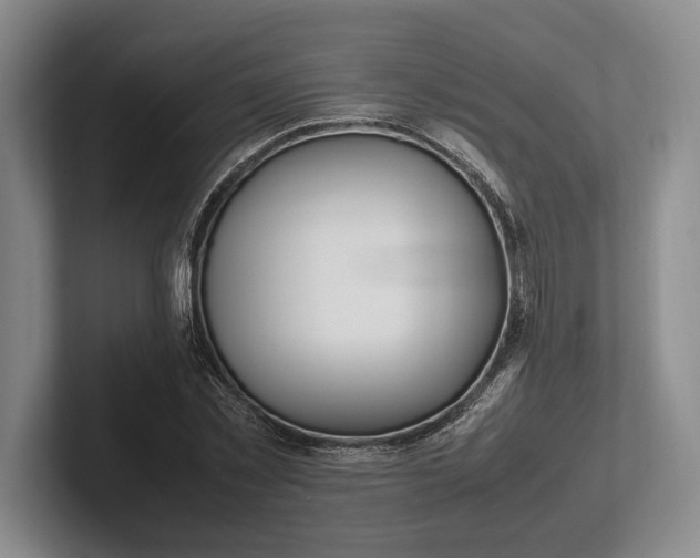 X0000102270781200808081440