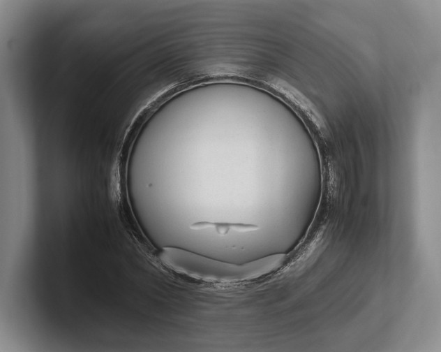 X0000102270782200808081440