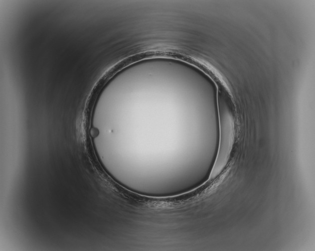 X0000102270783200808081440