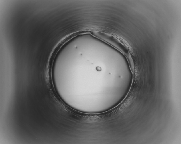 X0000102270784200808081440