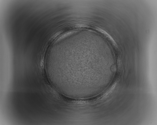 X0000102270785200808081440