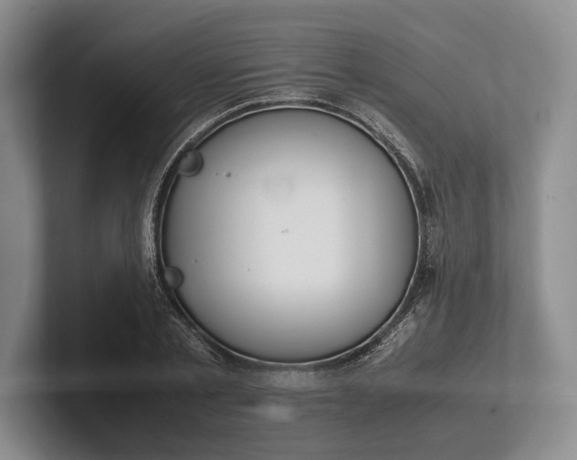 X0000102270789200808081440