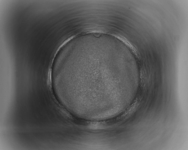 X0000102270790200808081440