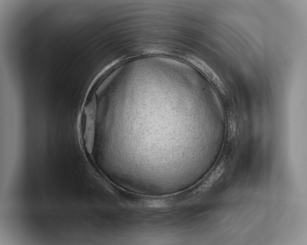 X0000102270798200808081439