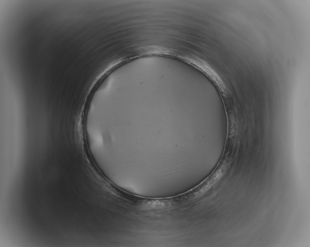 X0000102270806200808081439