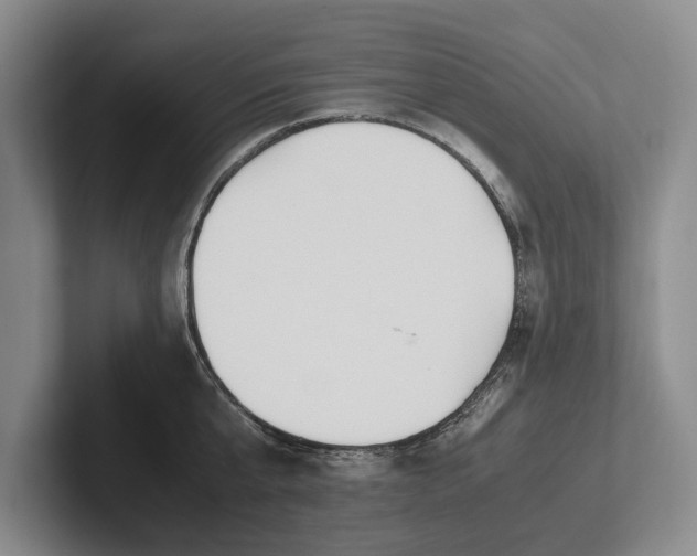 X0000102270807200808081439