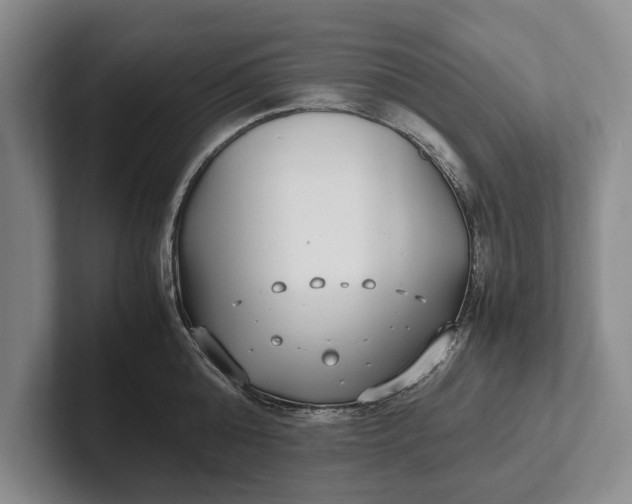 X0000102270808200808081439