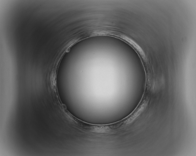 X0000102270809200808081439