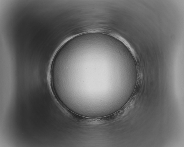 X0000102270811200808081439