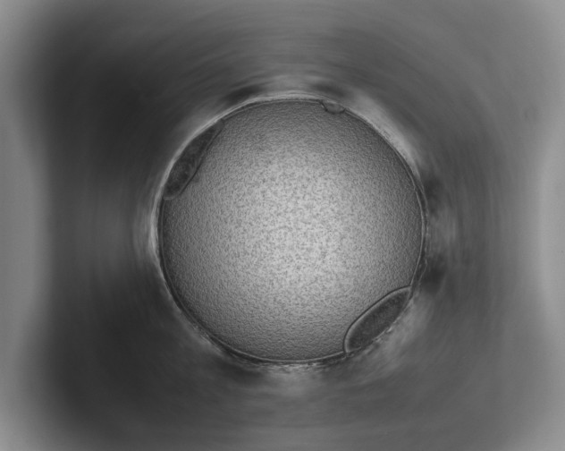 X0000102270813200808081439