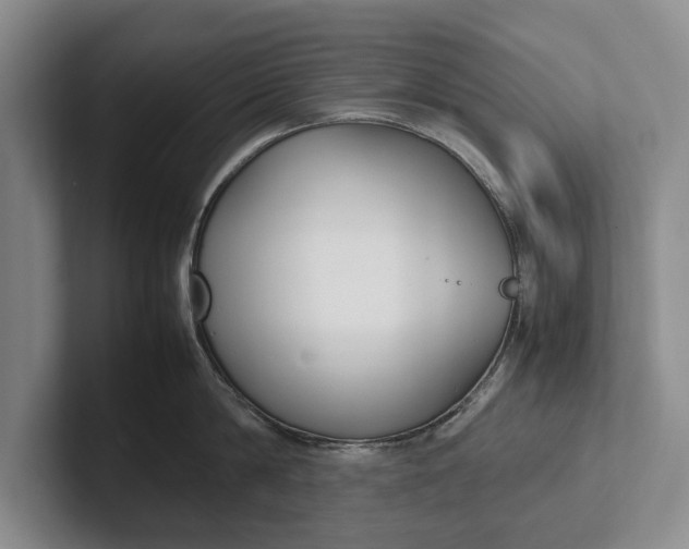 X0000102270814200808081439