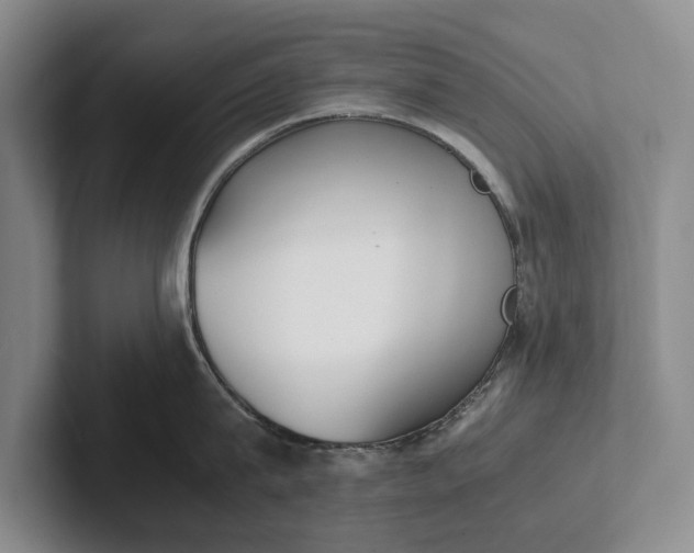 X0000102270815200808081439