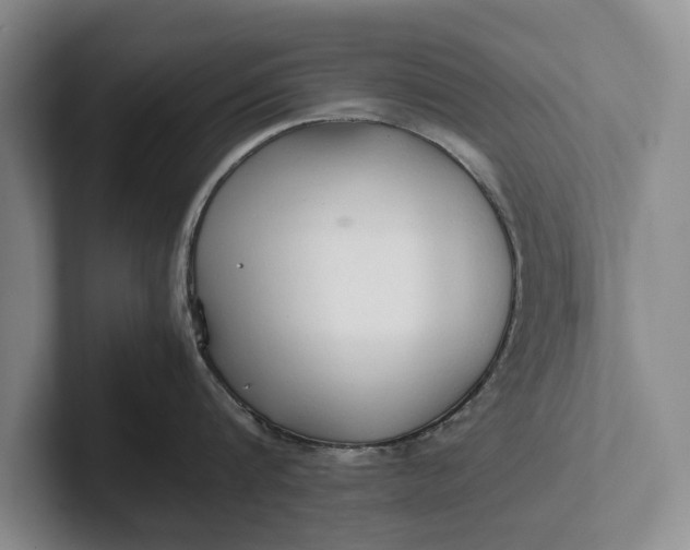 X0000102270816200808081439