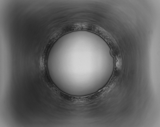 X0000102270819200808081439