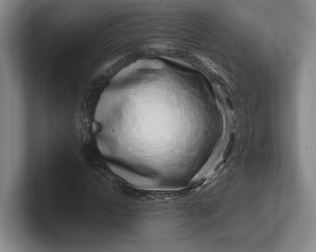 X0000102270822200808081439