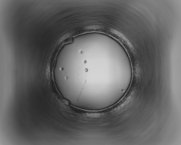 X0000102270825200808081439