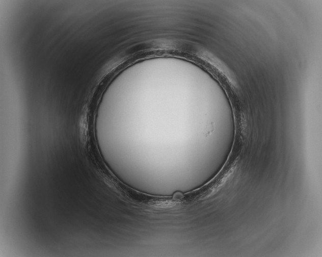 X0000102270826200808081439