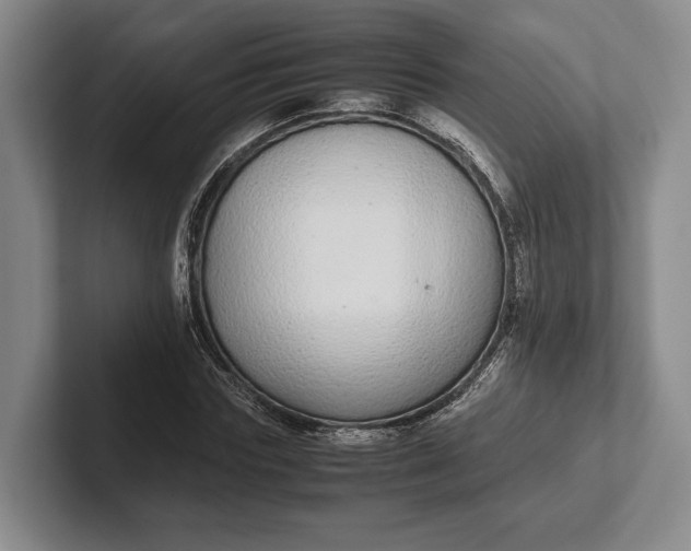 X0000102270827200808081439