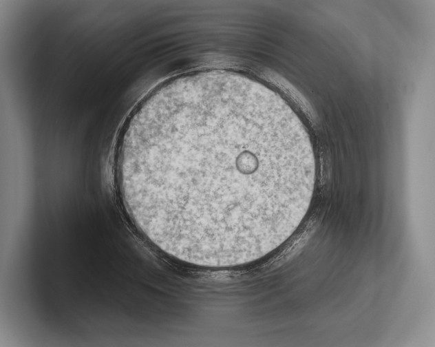 X0000102270828200808081439