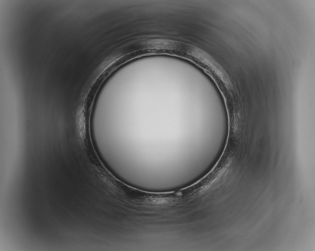 X0000102270829200808081439