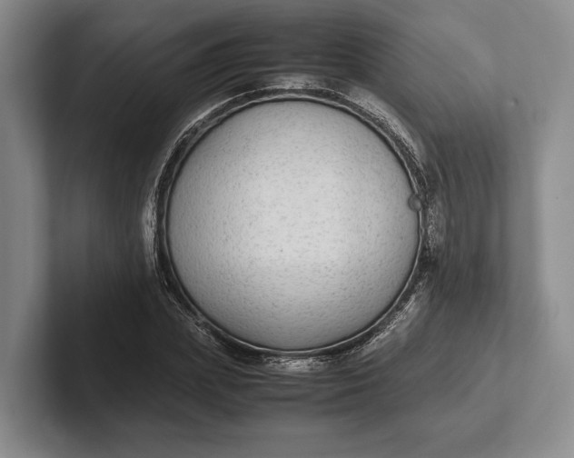 X0000102270831200808081439