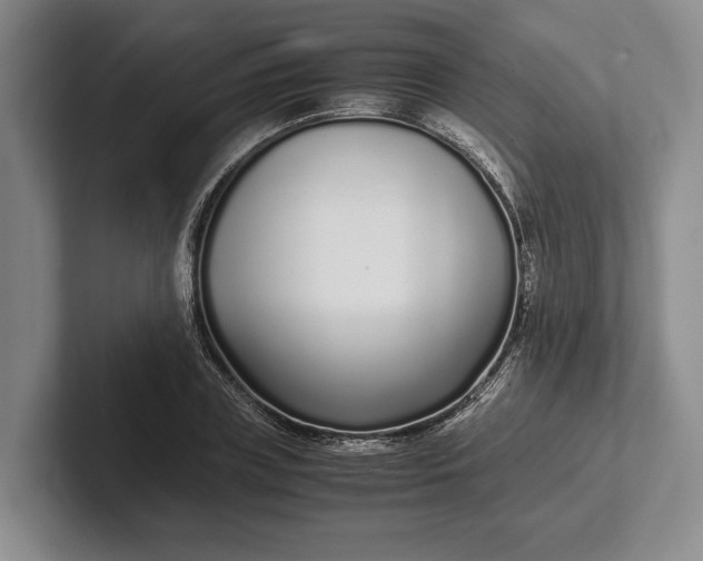 X0000102270835200808081439