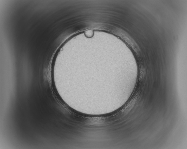 X0000102270836200808081439