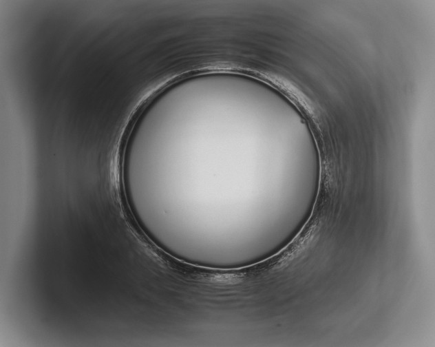 X0000102270839200808081439